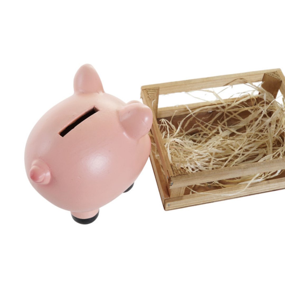 Hucha cerdito en cuadra