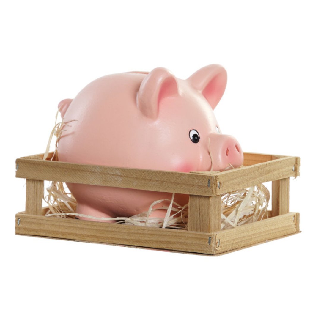 Hucha cerdito en cuadra